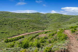 Expansive rolling hills featuring natural landscaping and a partially graded access road
