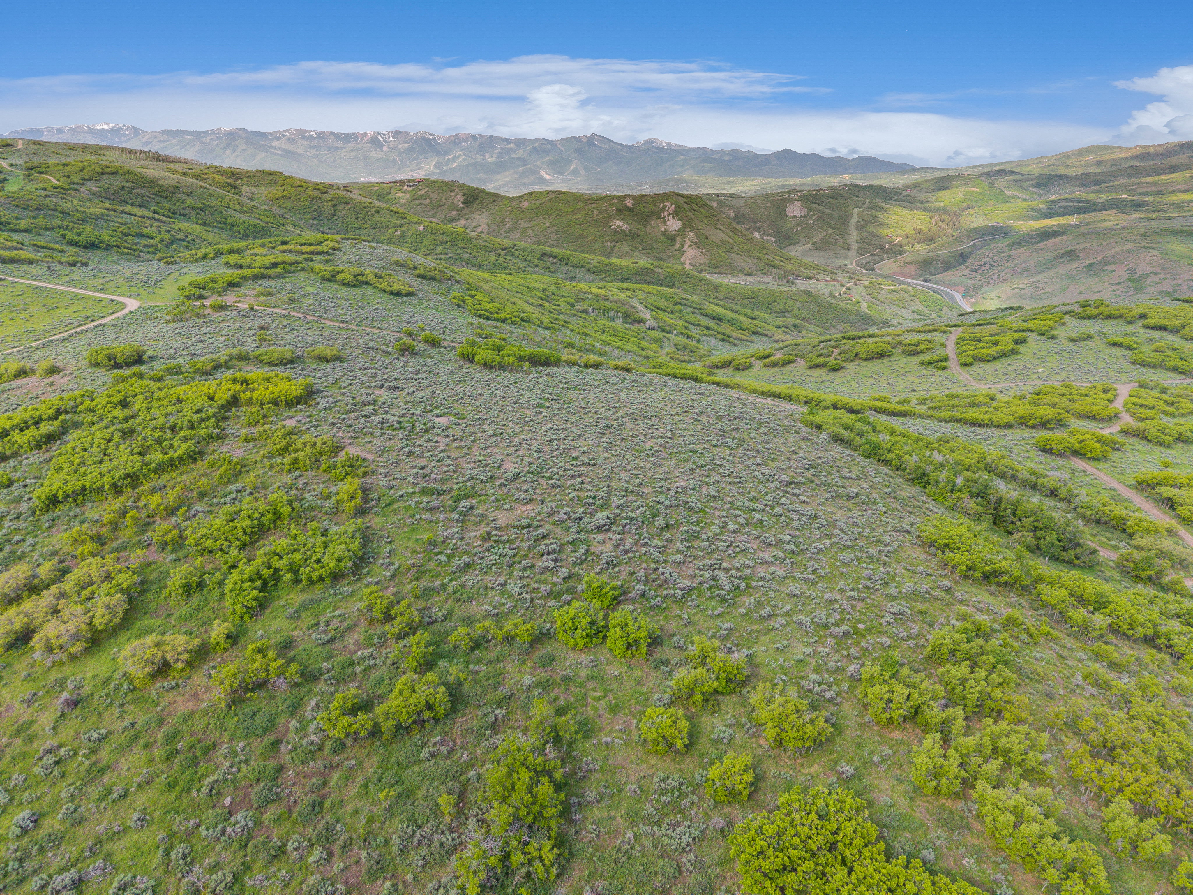 Expansive hillside terrain featuring varied green foliage, distant mountain ranges, and numerous winding dirt paths
