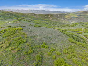 Expansive hillside terrain featuring varied green foliage, distant mountain ranges, and numerous winding dirt paths