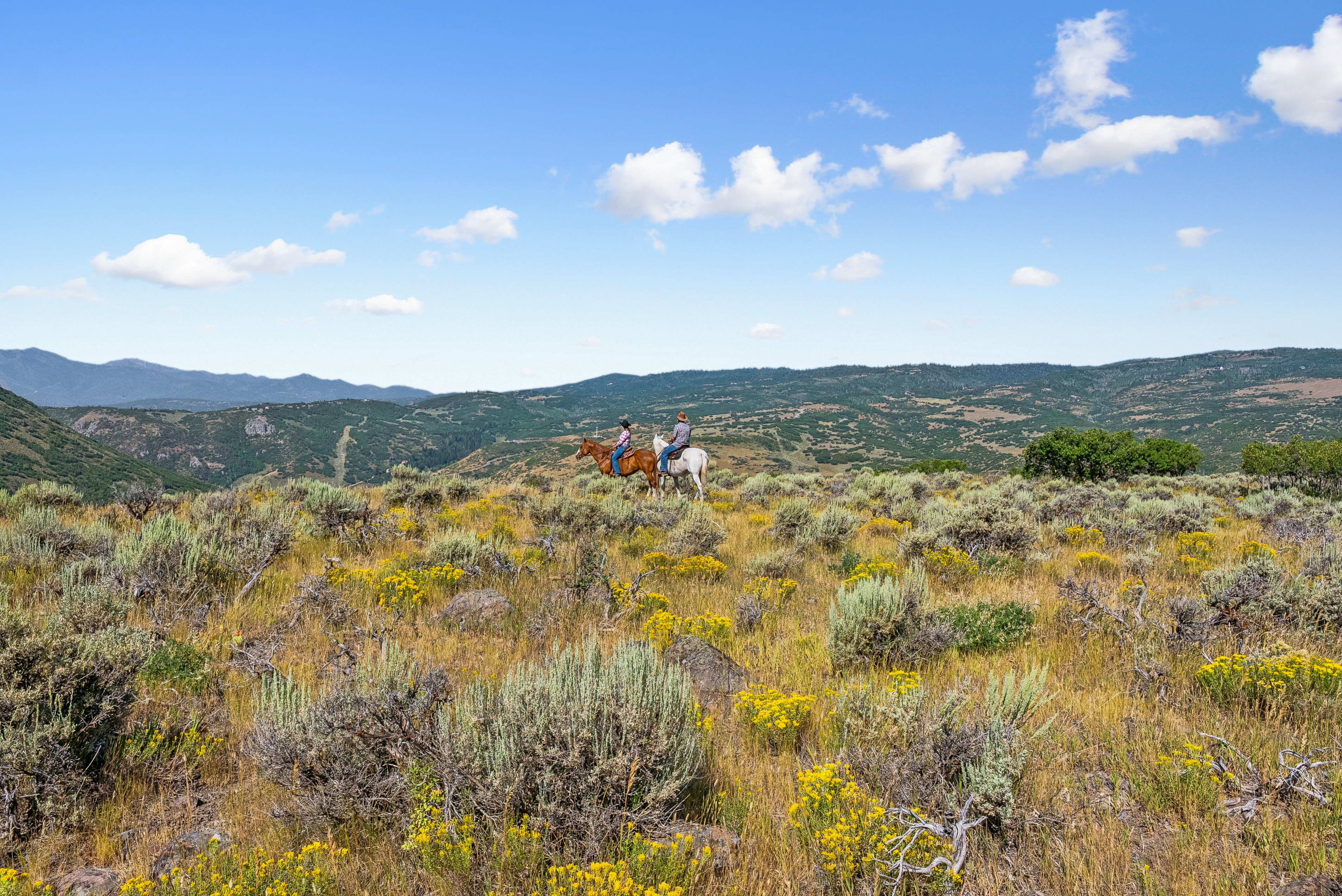 Expansive natural landscape featuring rolling hills and distant mountains