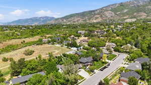 Residential area featuring extensive mature trees and mountain backdrop