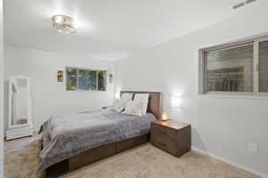 Neutral wall paint with carpet flooring
