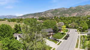 Residential street with mature landscaping and mountain backdrop
