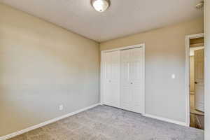 Neutral-toned walls complement the textured gray carpeting