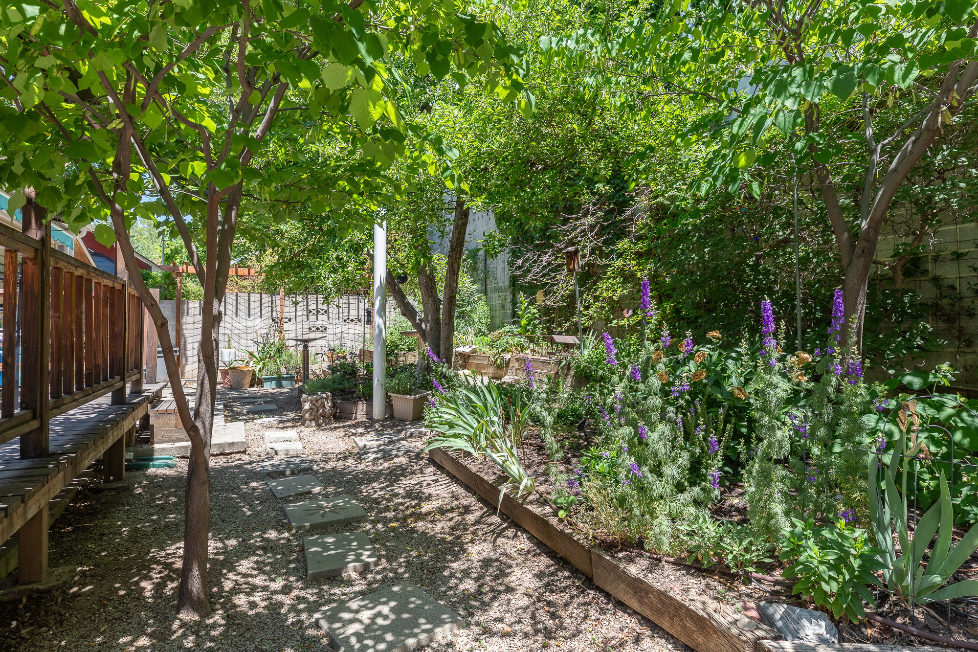 Lush outdoor space featuring mature trees and a raised wooden deck