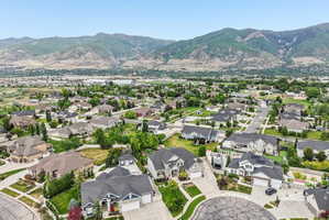 Aerial perspective of a residential neighborhood with varied architectural styles, manicured lawns, and mature trees