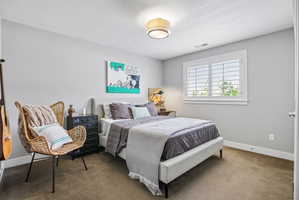 Carpeted bedroom featuring a window with white plantation shutters, a contemporary flush-mount ceiling light, and ample natural light