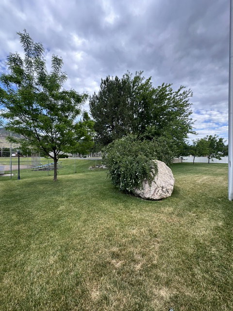 Expansive green lawn with mature trees and a large natural stone feature