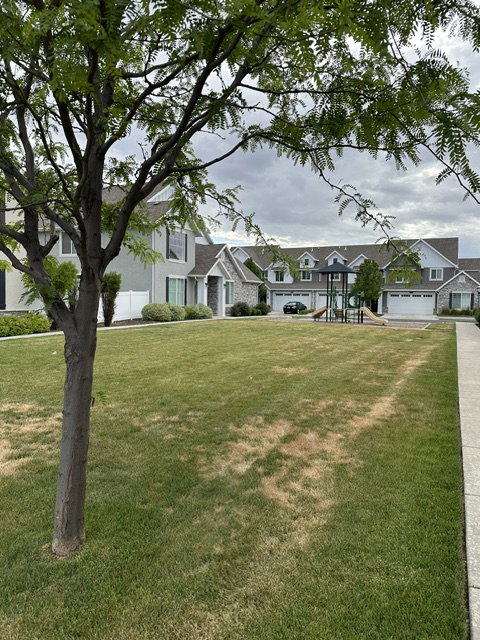 Expansive green space featuring a play structure, surrounded by multi-story residential buildings with attached garages and white fencing