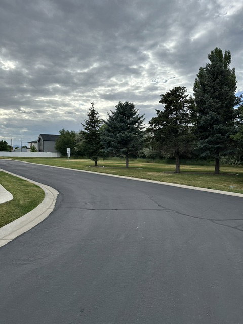 Paved street frontage with curb and gutter, bordered by a strip of green lawn and mature evergreen trees