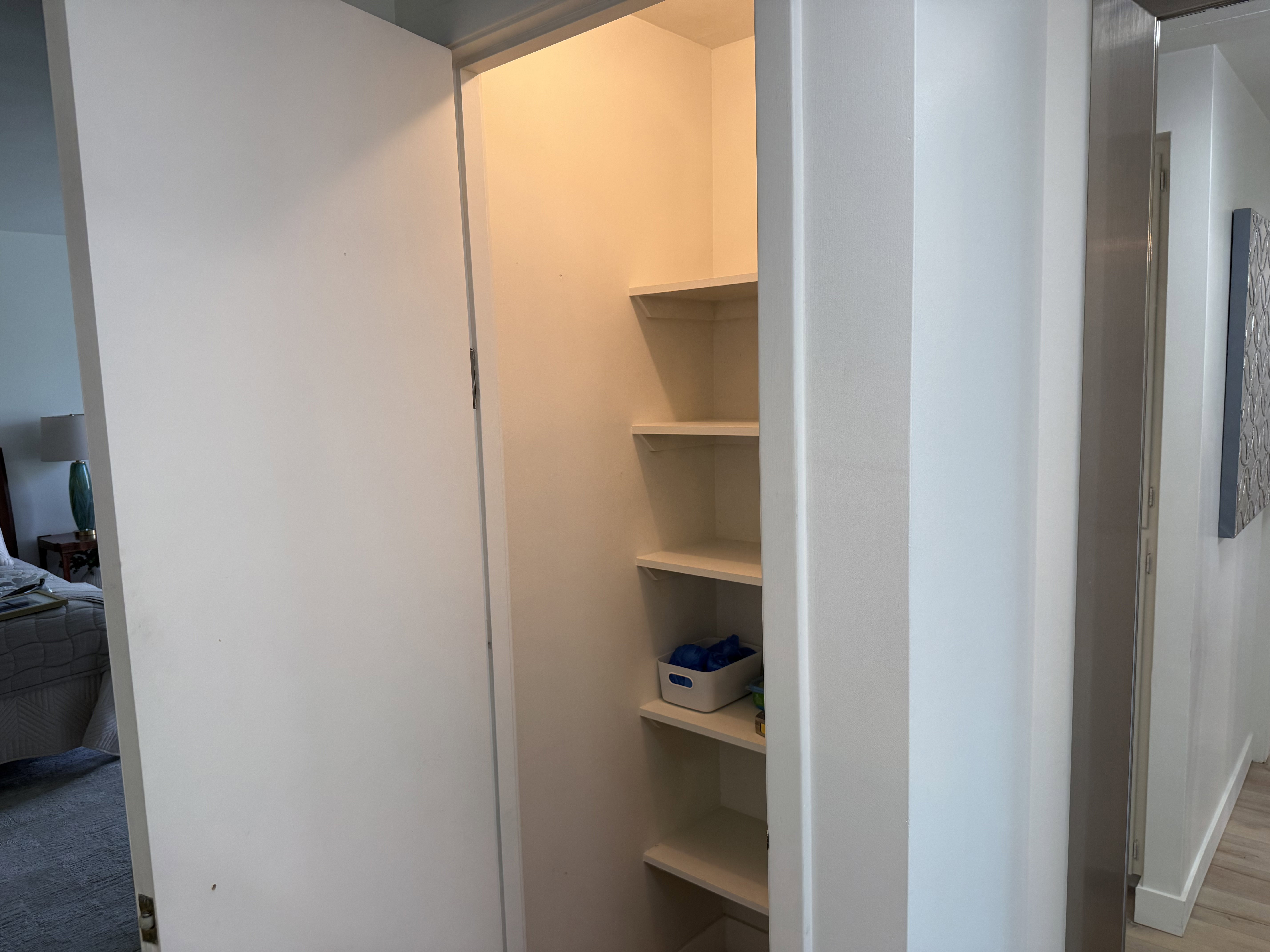 Recessed storage closet featuring multiple built-in shelving units and overhead illumination