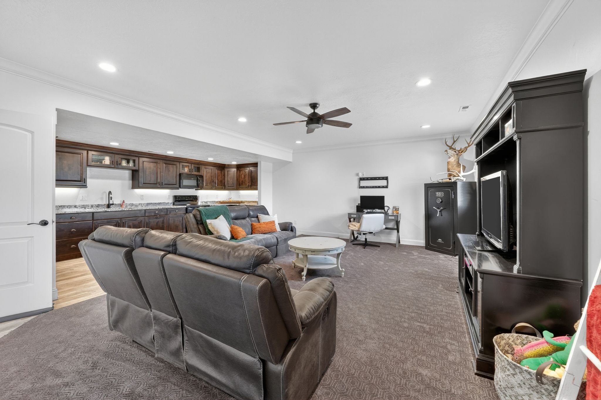 Basement Living Room