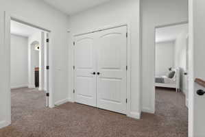 Carpeted hallway featuring a built-in closet with double white paneled doors, black hardware, and crisp white trim