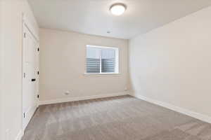 Basement Bedroom