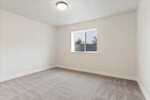 Basement Bedroom