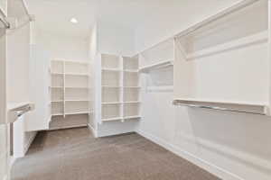 Master Closet