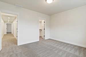 Basement Bedroom