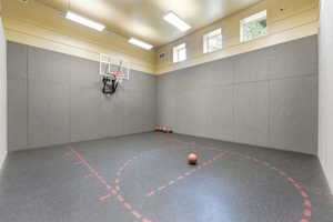 Indoor sports court featuring a basketball hoop, cushioned wall panels, and a marked court surface