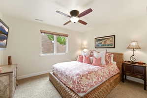 Carpeted room featuring a ceiling fan with integrated lighting, a double window with wood-finish blinds, and light-toned walls