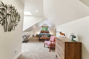 Carpeted bedroom with a vaulted ceiling, recessed lighting, and a skylight
