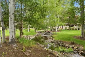 Lush outdoor space featuring a serene rock-lined water feature, mature trees, and expansive green lawns