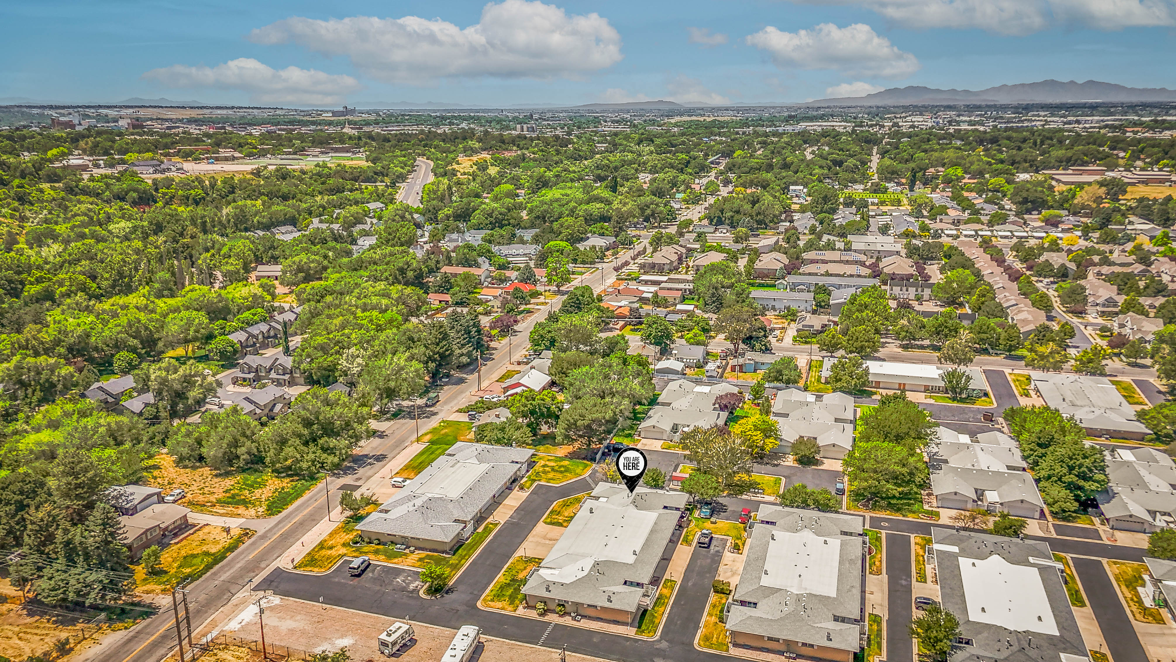 Aerial perspective showcasing a residential neighborhood with ample tree coverage and established infrastructure