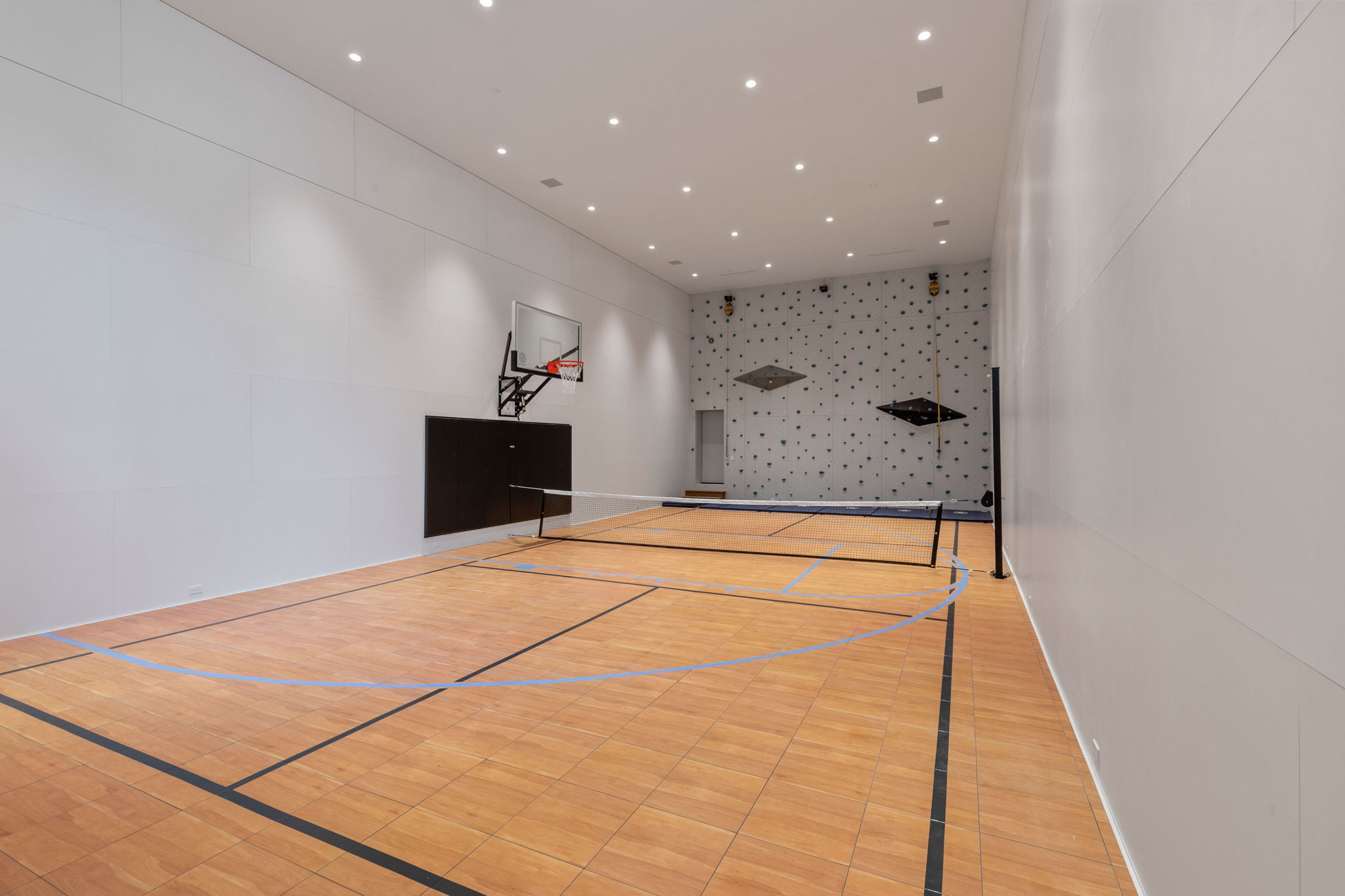 Indoor multi-sport court featuring wood-finish flooring with court markings, a basketball hoop, and a net