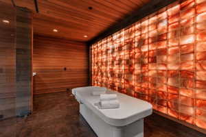 Illuminated salt brick wall feature
