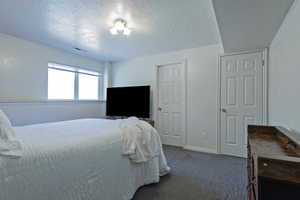 Carpeted room with a double-paned window, white trim, and two paneled doors