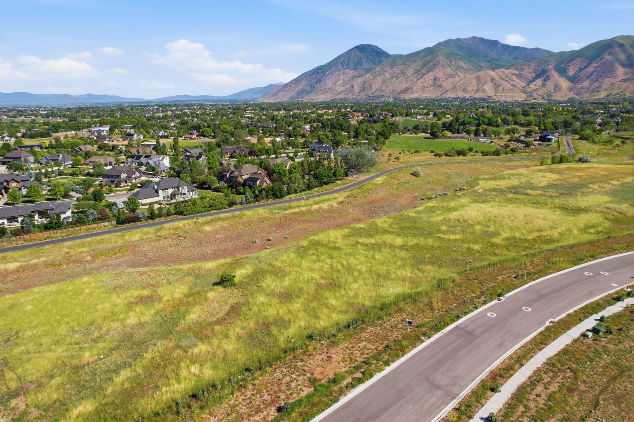Expansive open land featuring diverse vegetation and a paved road with curb and gutter