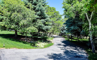 Asphalt driveway bordered by mature trees and manicured lawns
