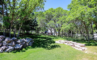 Expansive grassy yard with mature trees providing coverage