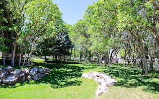 Lush green lawn surrounded by mature deciduous trees, a large evergreen tree, and decorative rock landscaping