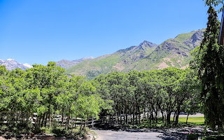 Stunning views  Mountain backdrop with green foliage