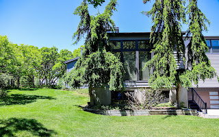 Modern multi-level exterior with extensive glazing, horizontal siding, mature evergreen trees, and a manicured lawn