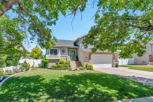 Split-level residence featuring a two-car garage, manicured lawn, and mature trees providing natural shade