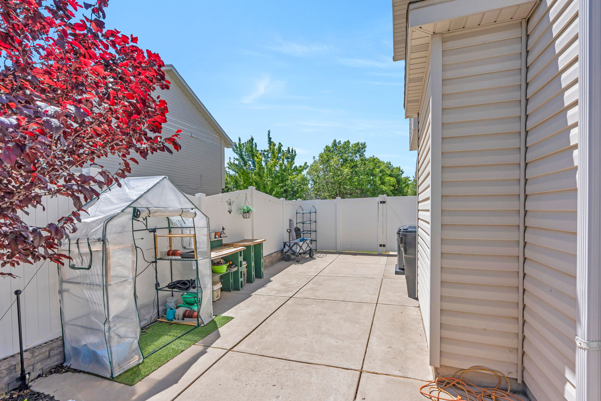 Paved side yard featuring a white privacy fence, mature red-leafed tree, and a garden greenhouse