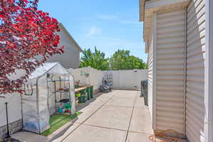 Paved side yard featuring a white privacy fence, mature red-leafed tree, and a garden greenhouse