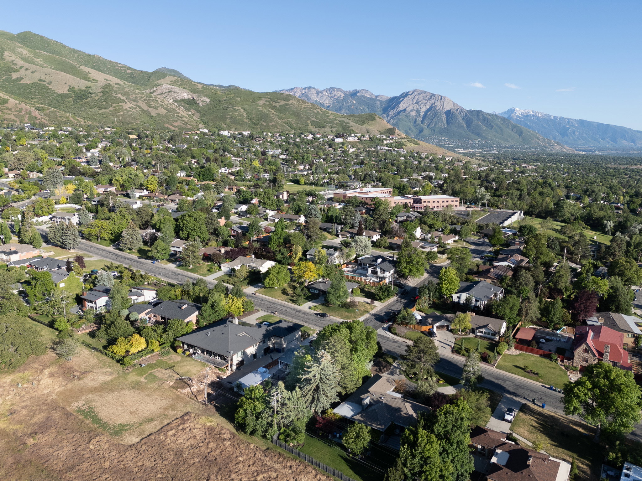 Expansive residential area with mature trees, established streets, and mountain backdrop