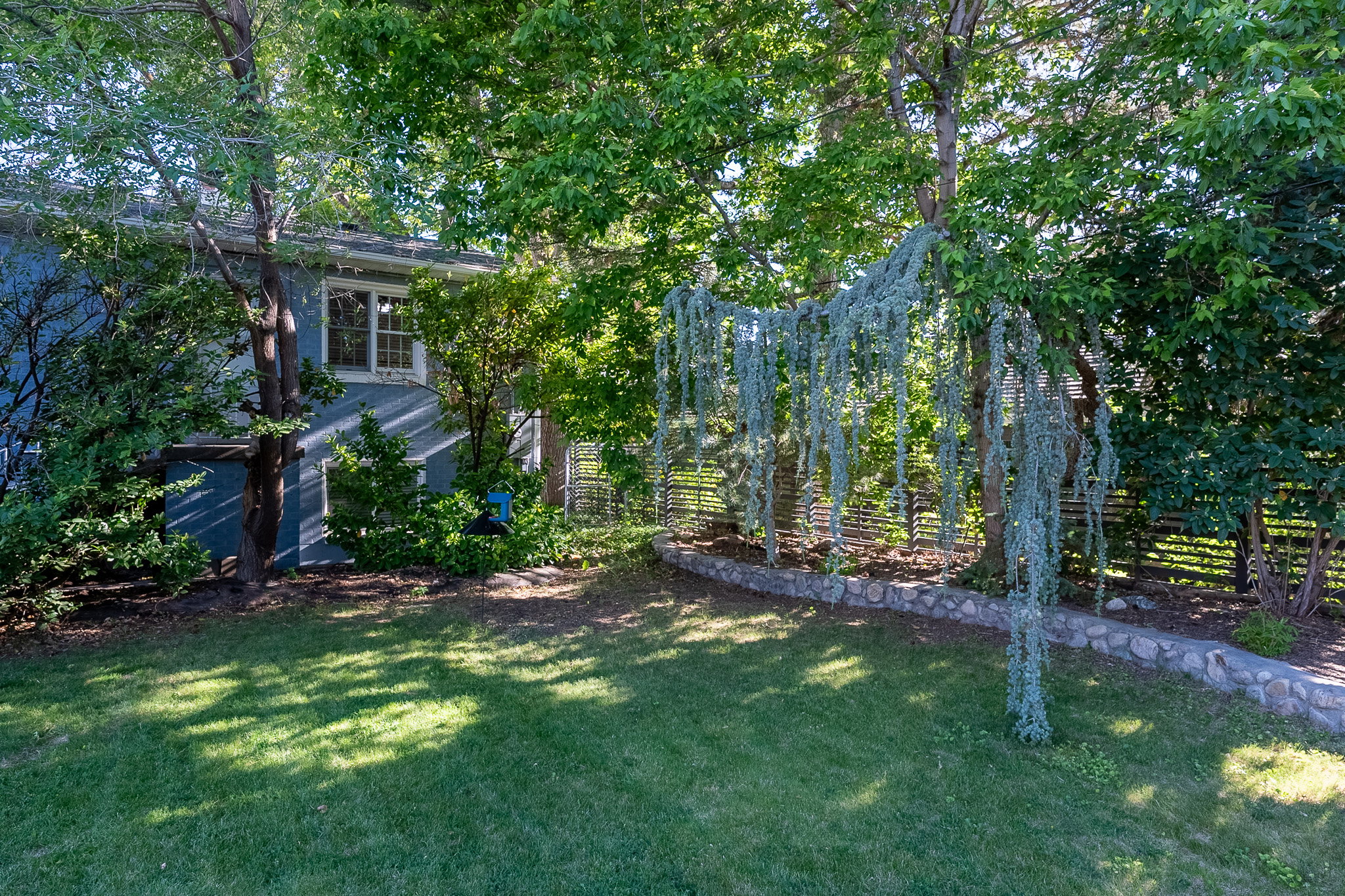Expansive green lawn with mature trees providing ample shade
