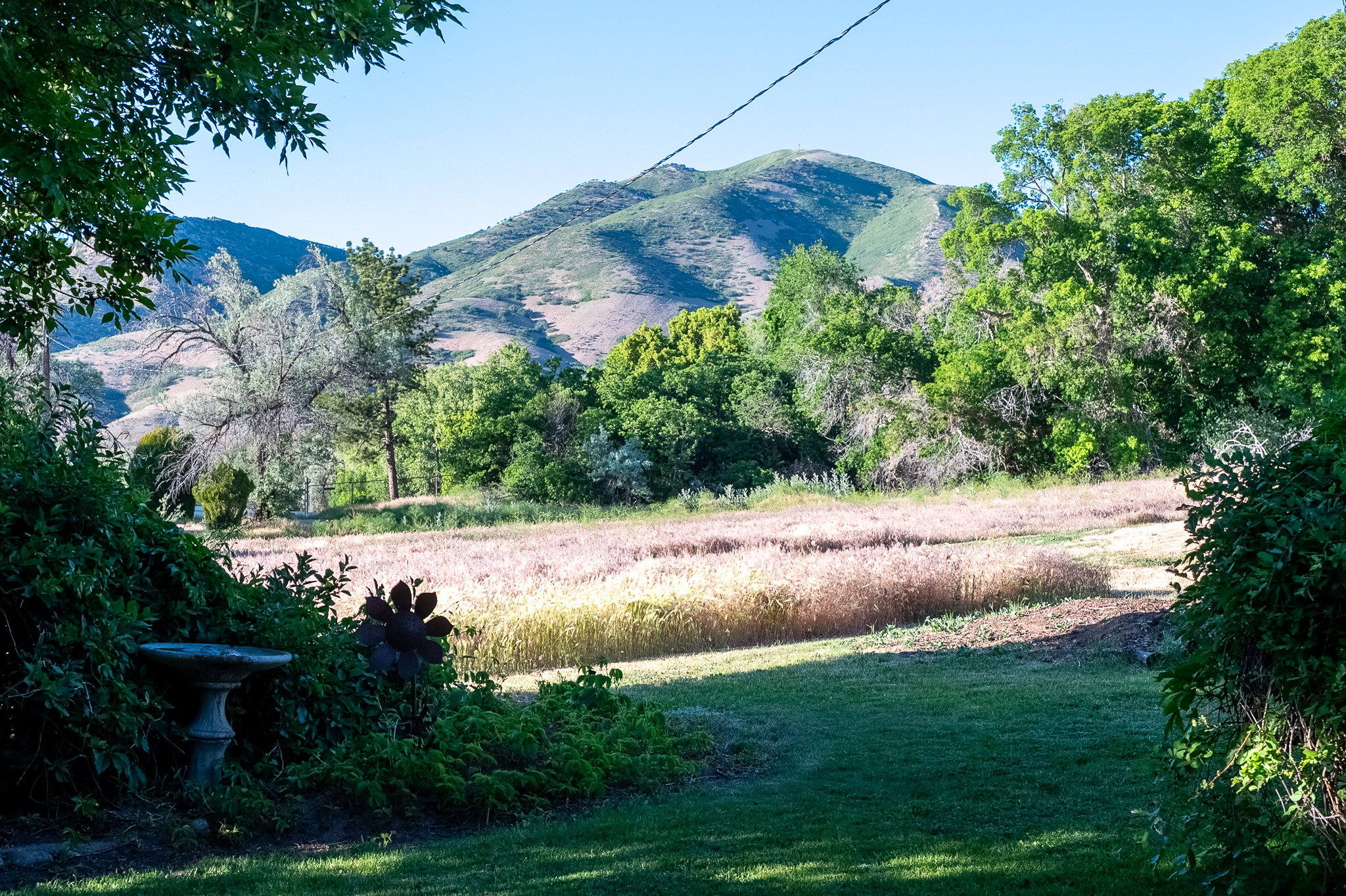 Backyard backs onto unused area of Bonnville Golft Clourse providing Expansive outdoor space featuring mature trees and a mountain backdrop