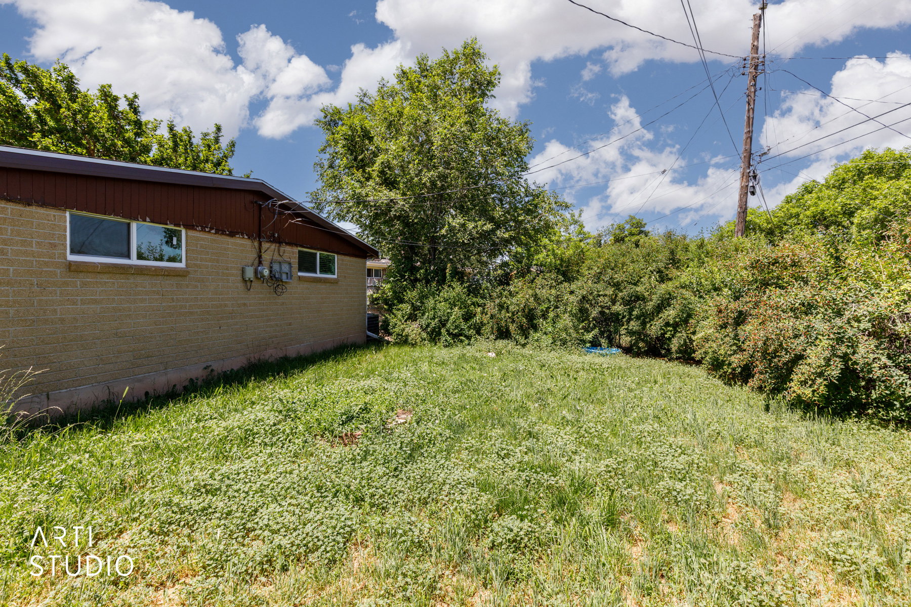 Expansive yard space featuring natural ground cover and surrounding mature trees