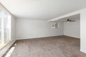 Spacious room featuring neutral carpeting, white walls, multiple windows, a ceiling fan, and white trim