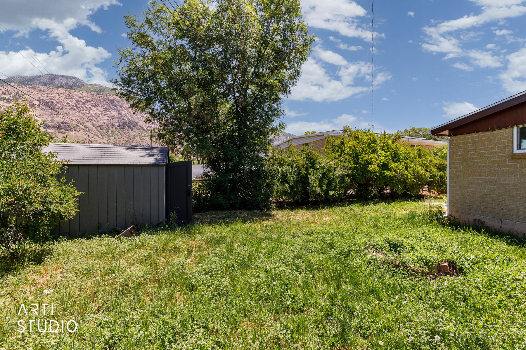 Expansive grassy yard area featuring a storage shed with a shingled roof, mature trees, and a distant mountainous backdrop