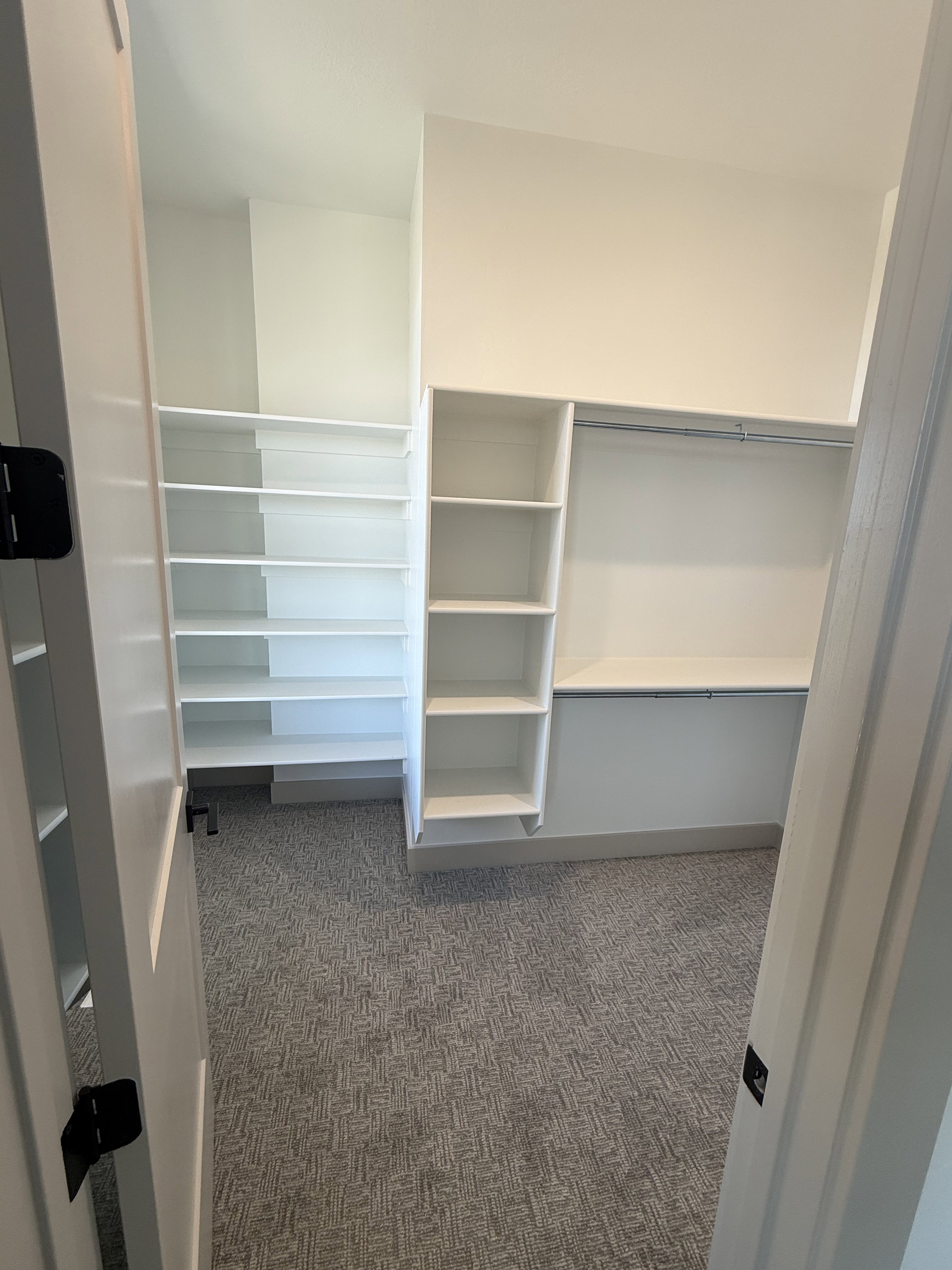 Walk-in closet featuring built-in shelving, hanging rods, and patterned carpeting