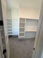 Walk-in closet featuring built-in shelving, hanging rods, and patterned carpeting