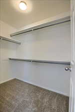 Walk-in closet featuring built-in shelving, hanging rods, neutral wall color, and carpet flooring