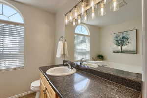 Bathroom featuring a light wood vanity with a built-in sink and dark speckled countertop