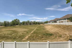 Expansive open field bordered by a white privacy fence and distant mature trees