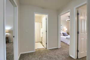 Carpeted hallway with three doorways